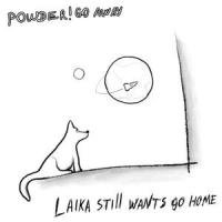Laika still wants go home