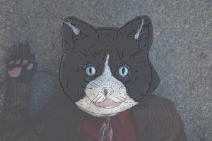 Mr. Polydactyl Cat