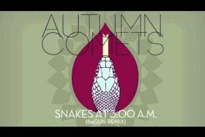 Autumn Comets - Snakes at 3:00 A.M. (BeGun remix)