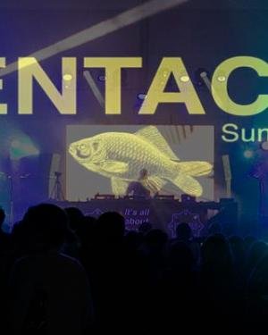 Tentacle Summer Fest 2019